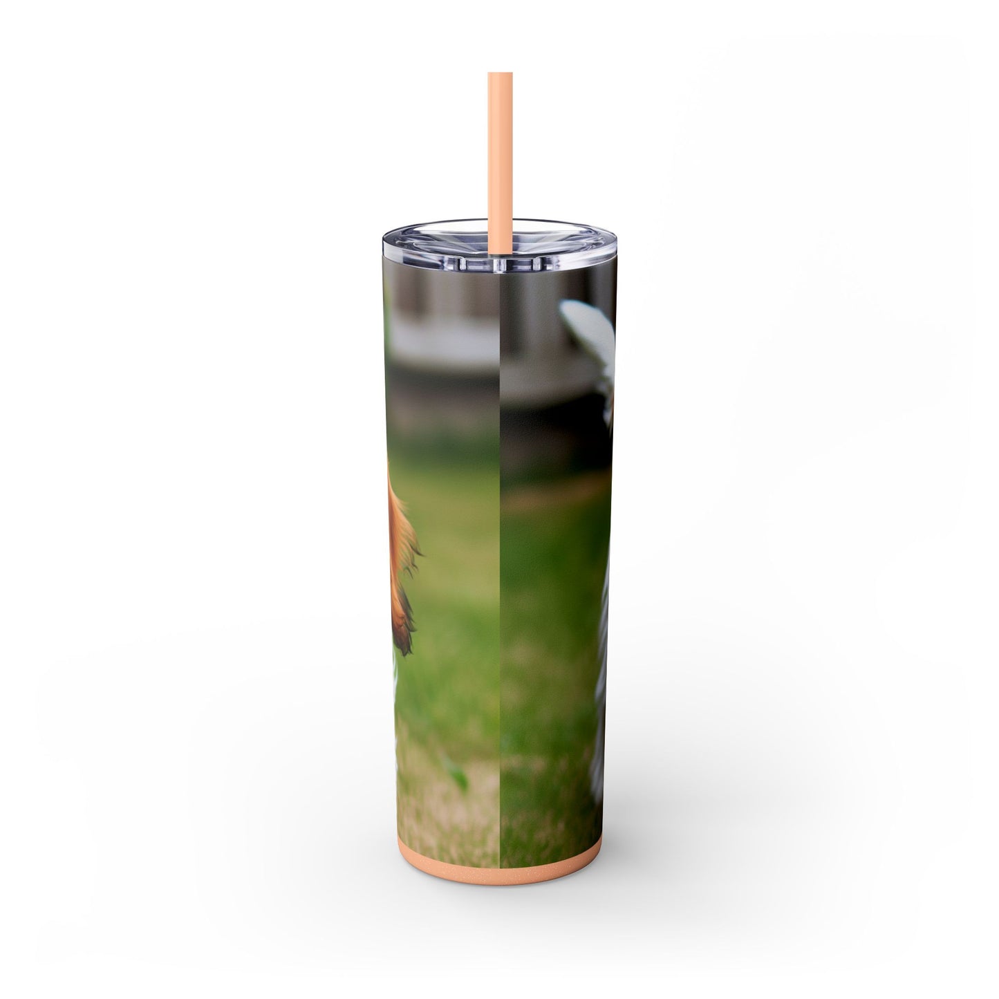 Petit Basset Griffon Vendeen Skinny Tumbler with Straw, 20oz