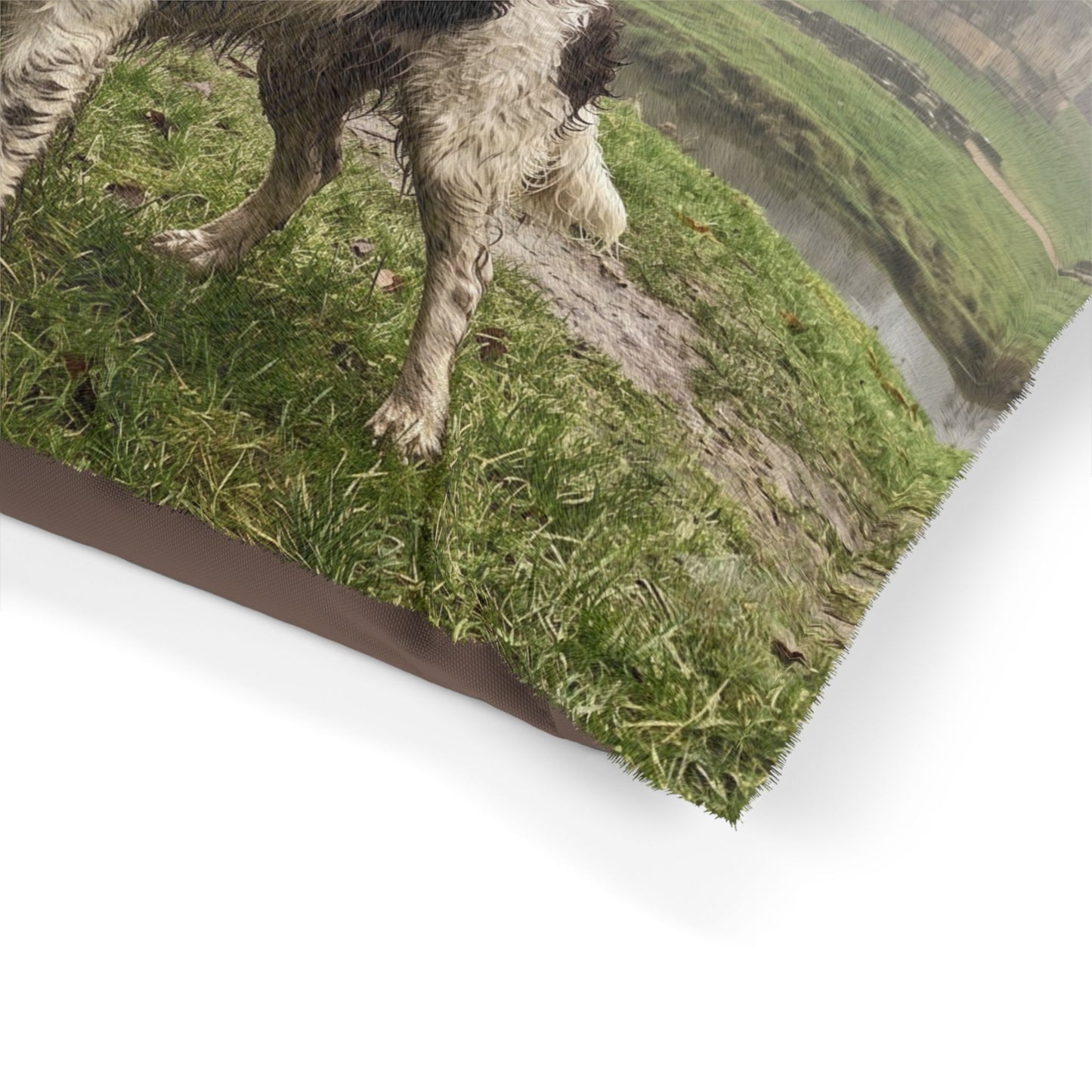 English Water Spaniel Pet Bed