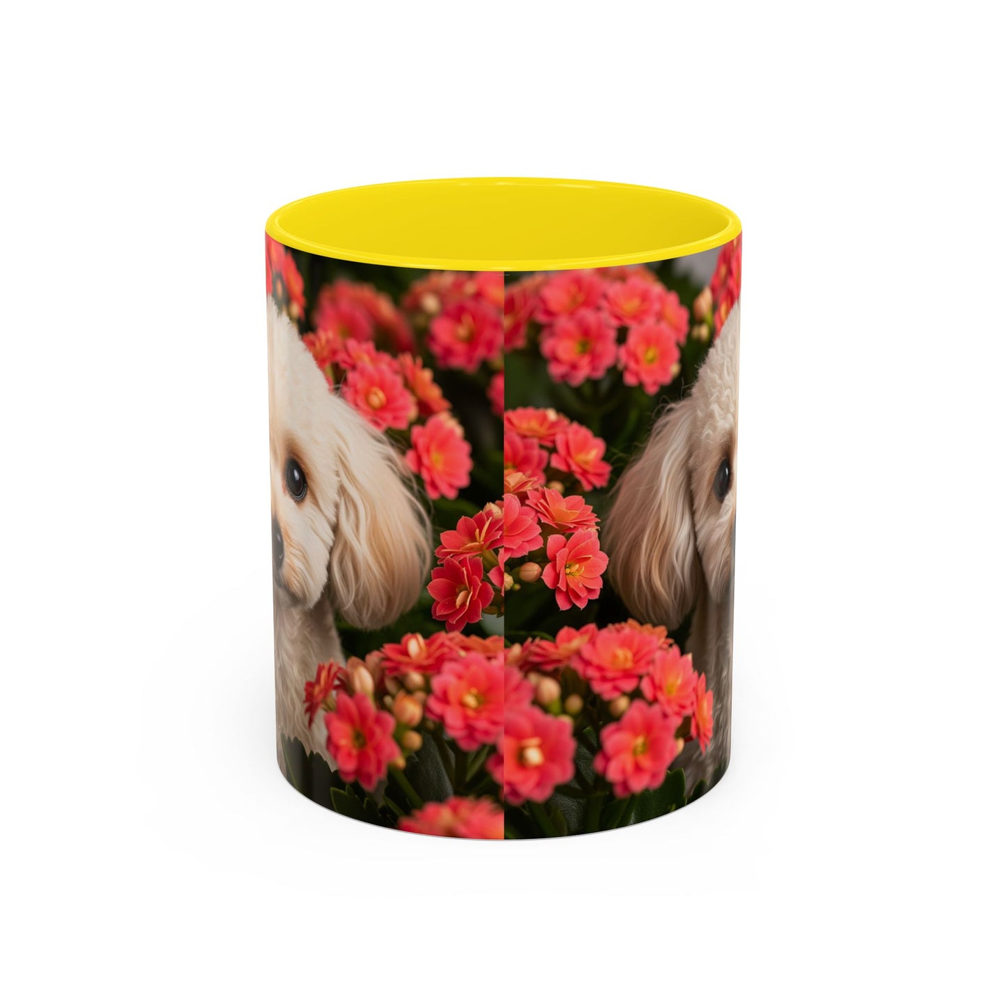 Mug à café avec motif caniche miniature - Cadeau idéal pour les amoureux des chiens