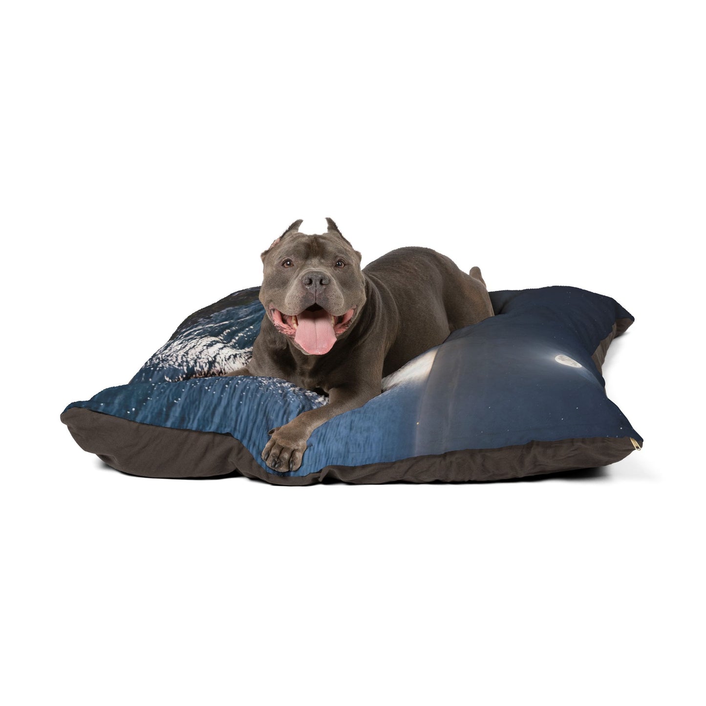 Danish Spitz Dog Bed