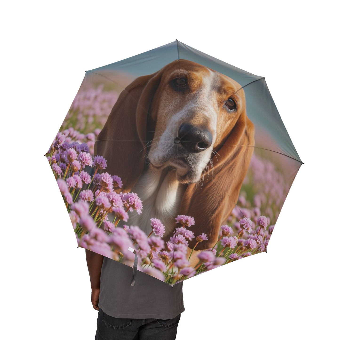Basset Fauve de Bretagne Semi-Automatic Foldable Umbrella