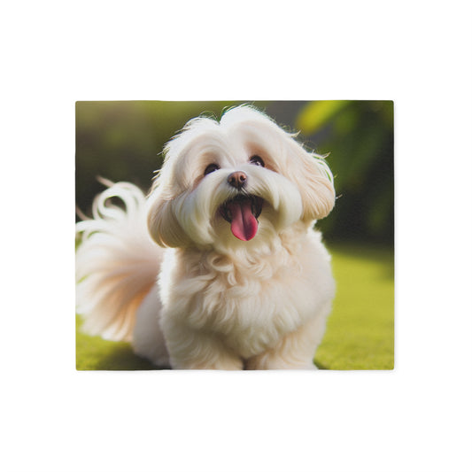 Havanese Sweatshirt Blanket