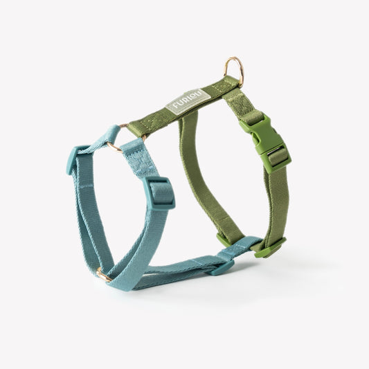 Harnais pour chien bleu et vert