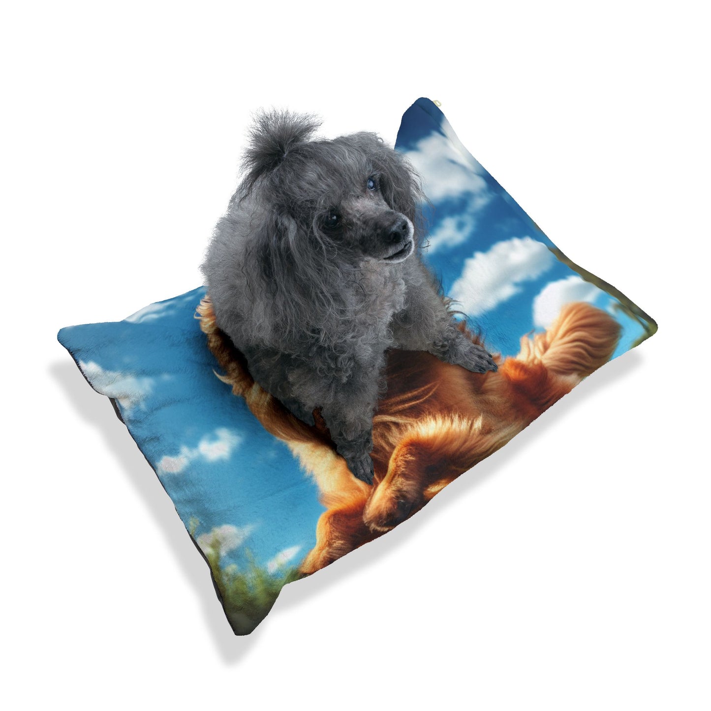 Belgian Shepherd Dog Laekenois Pet Bed