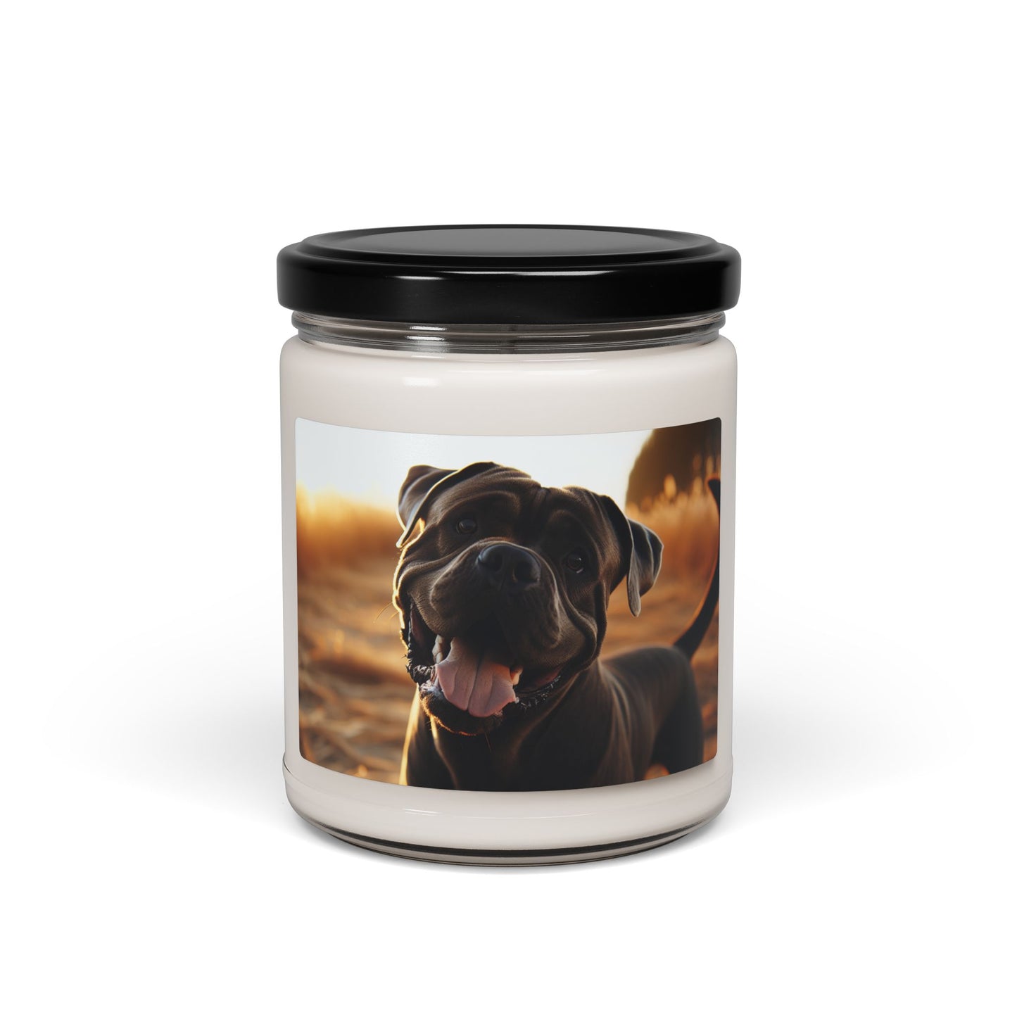 Cane Corso- Scented Soy Candle, 9oz