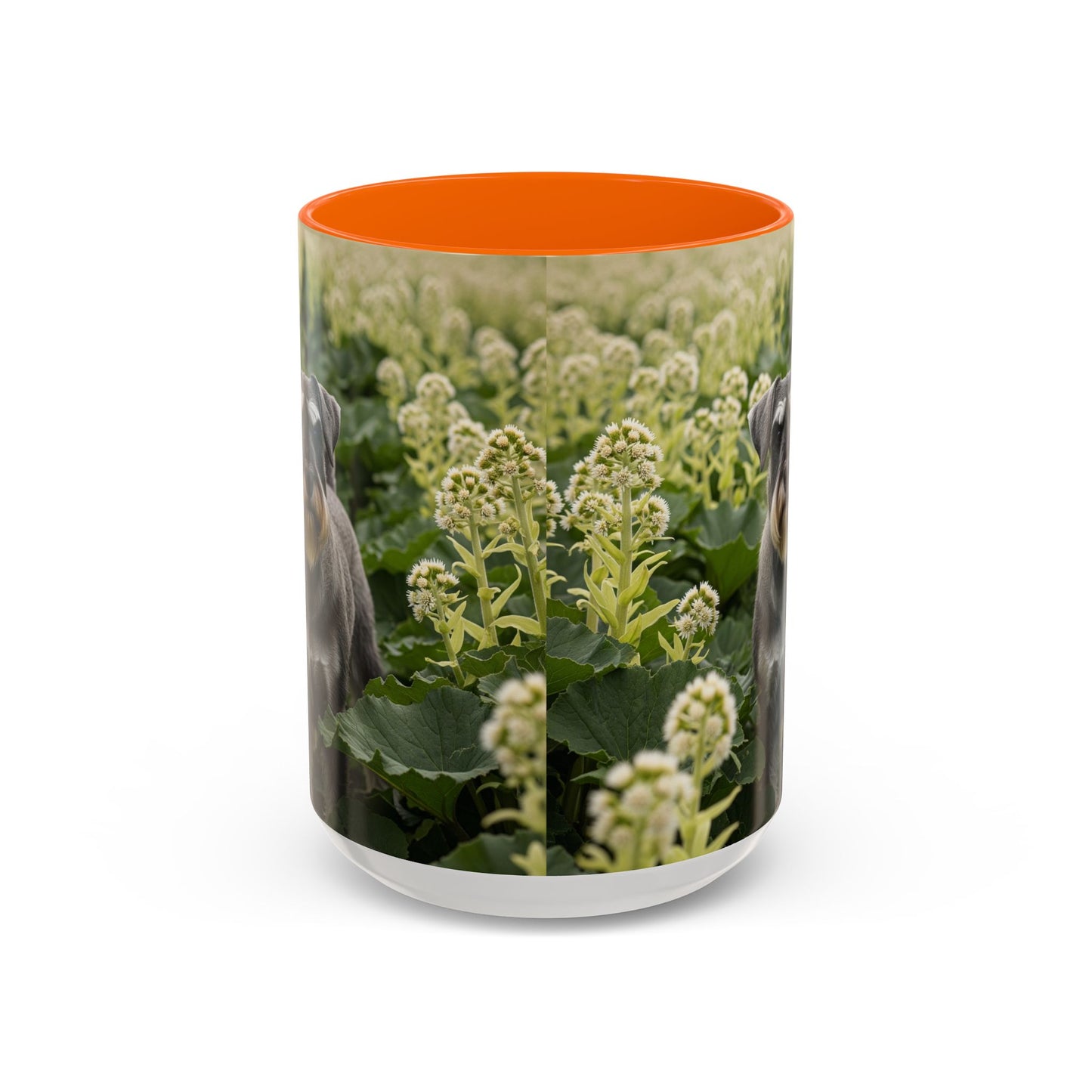 Mug à café avec motif Schnauzer standard - Cadeau idéal pour les amoureux des chiens