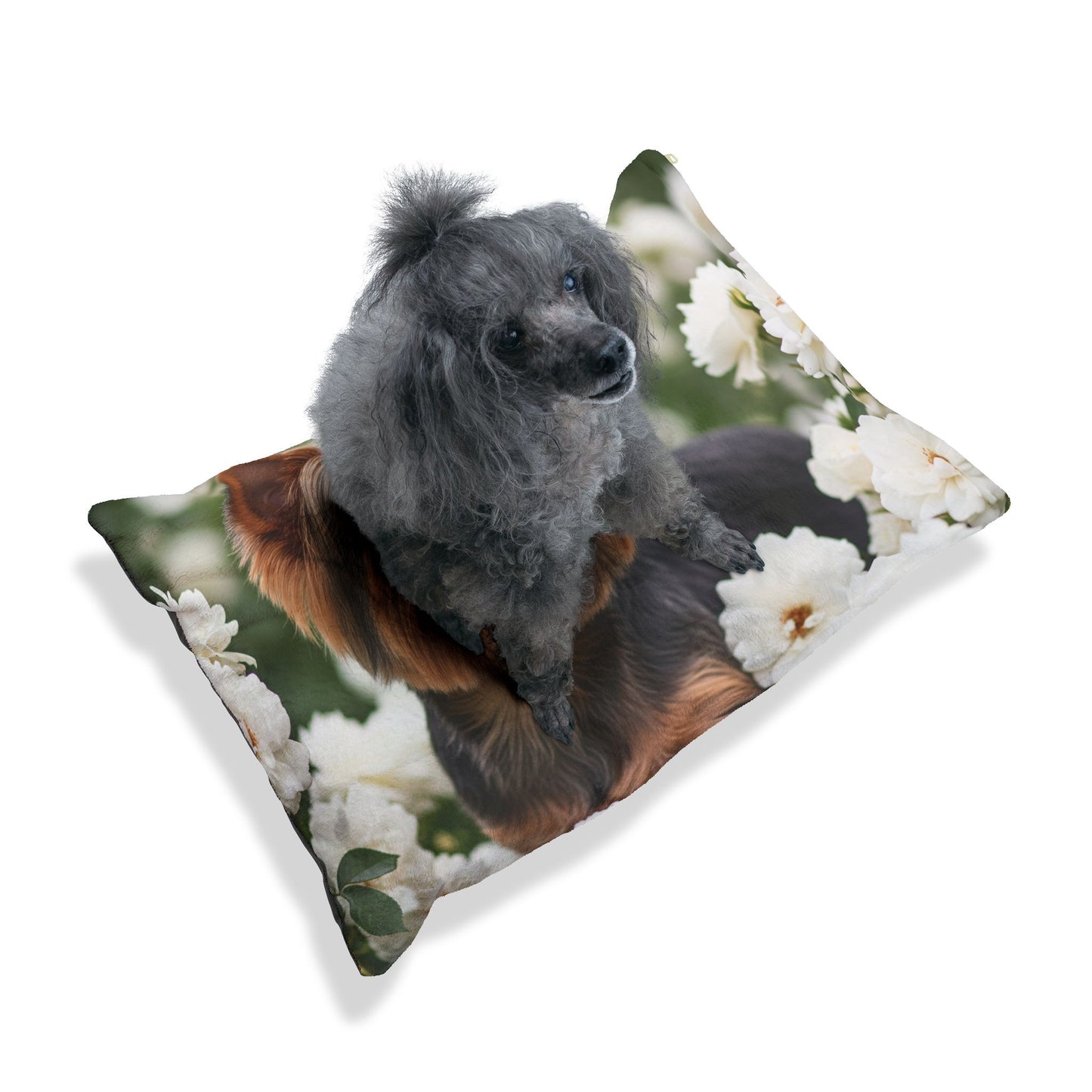 Yorkshire Terrier Pet Bed