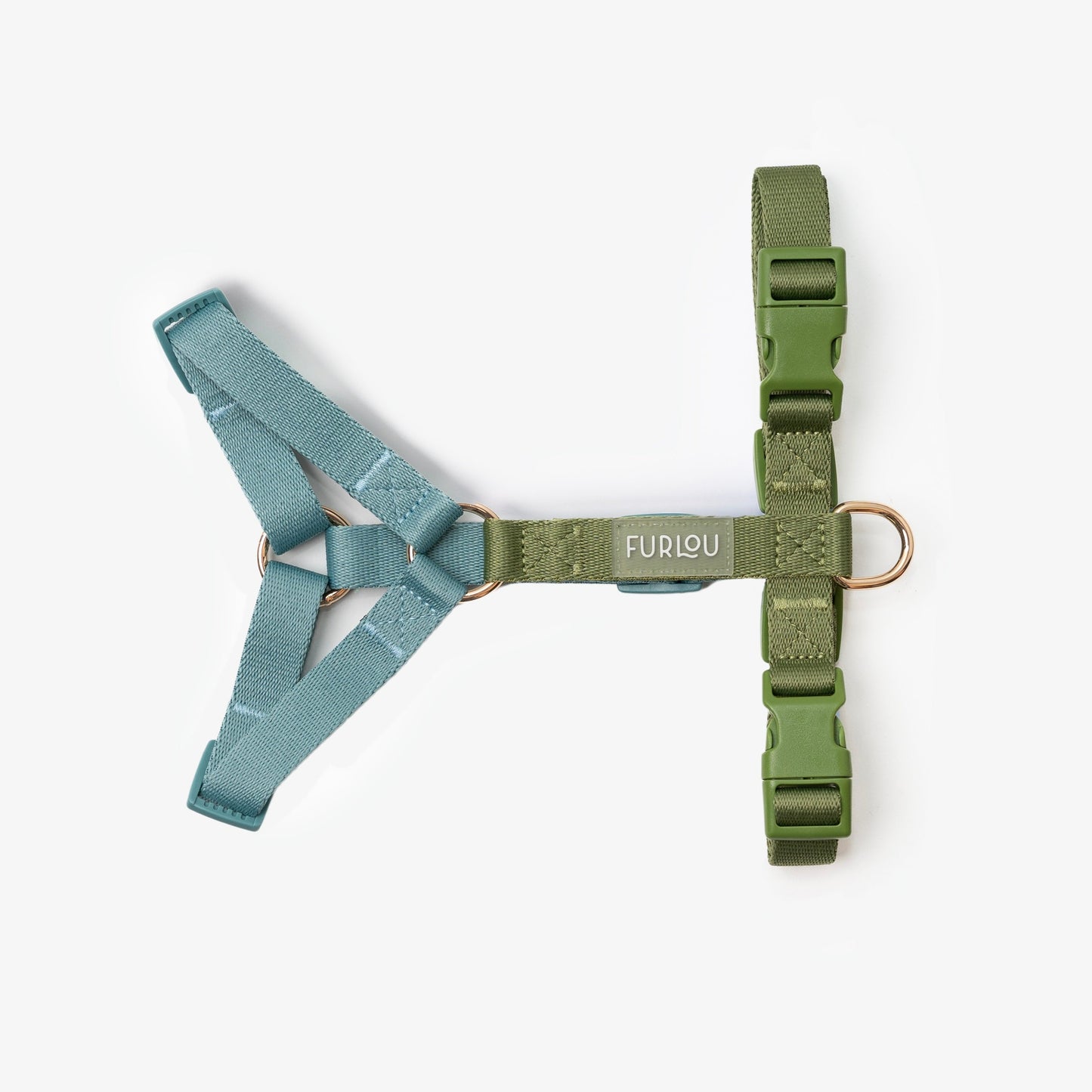 Harnais pour chien bleu et vert