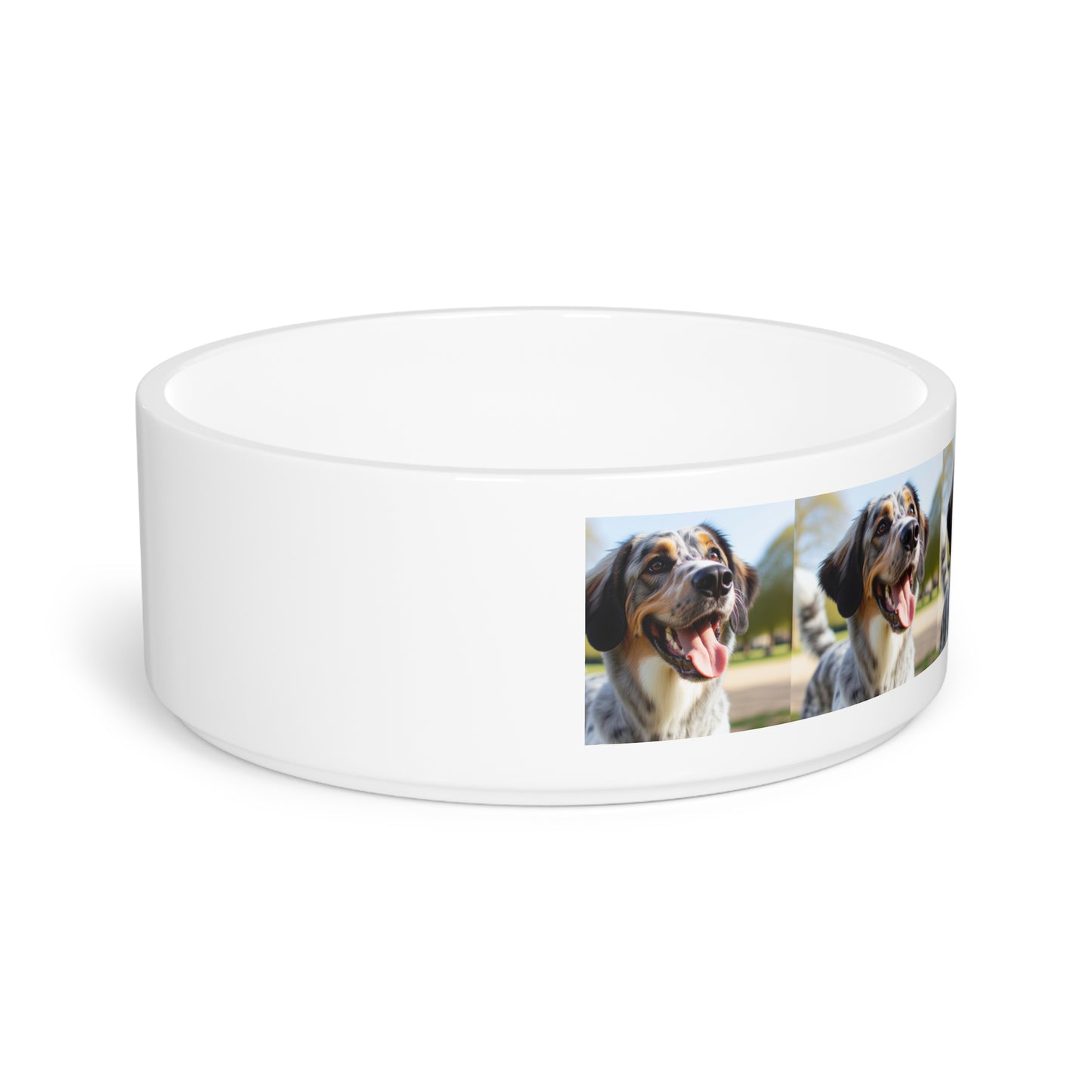 Braque Francais Pyrenean Pet Bowl