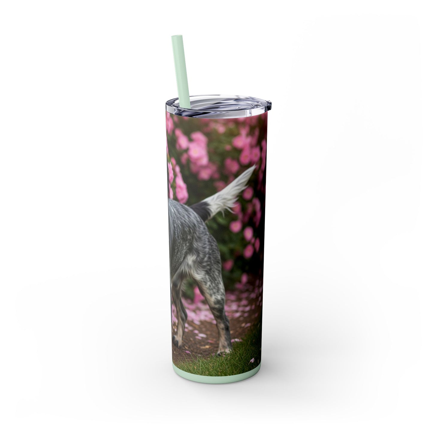 Blue Picardy Spaniel Tumbler with Straw, 20oz