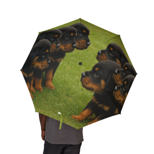 Rottweiler puppies Semi-Automatic Foldable Umbrella