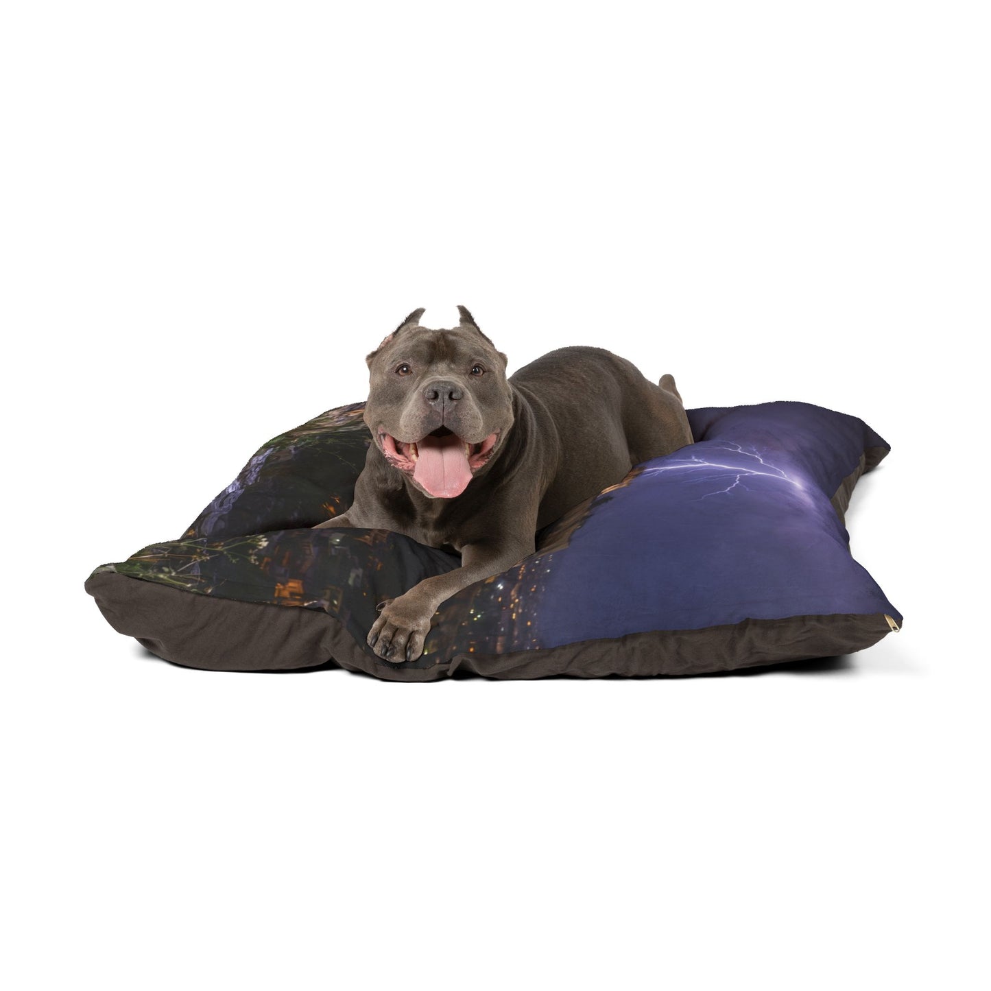 Kritikos Lagonikos Pet Bed