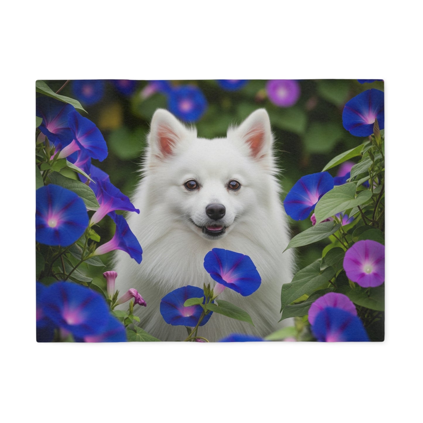 Manta de sudadera de Spitz japonés