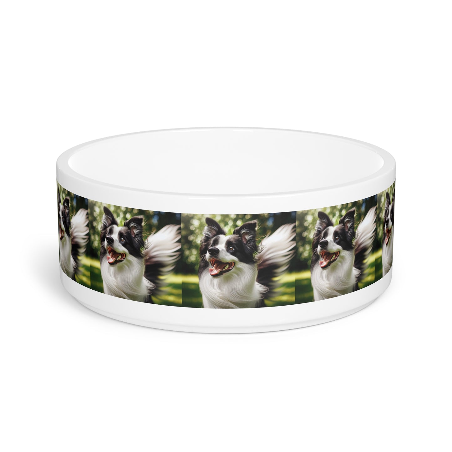 Border Collie Pet Bowl