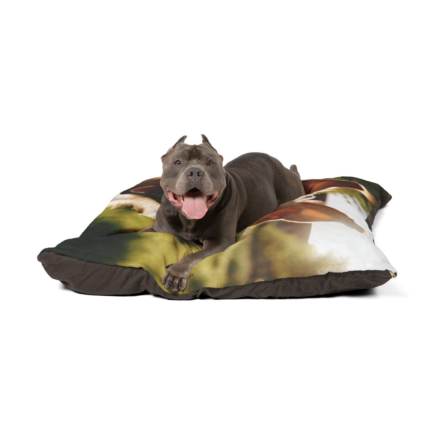 Portuguese Podengo Pet Bed