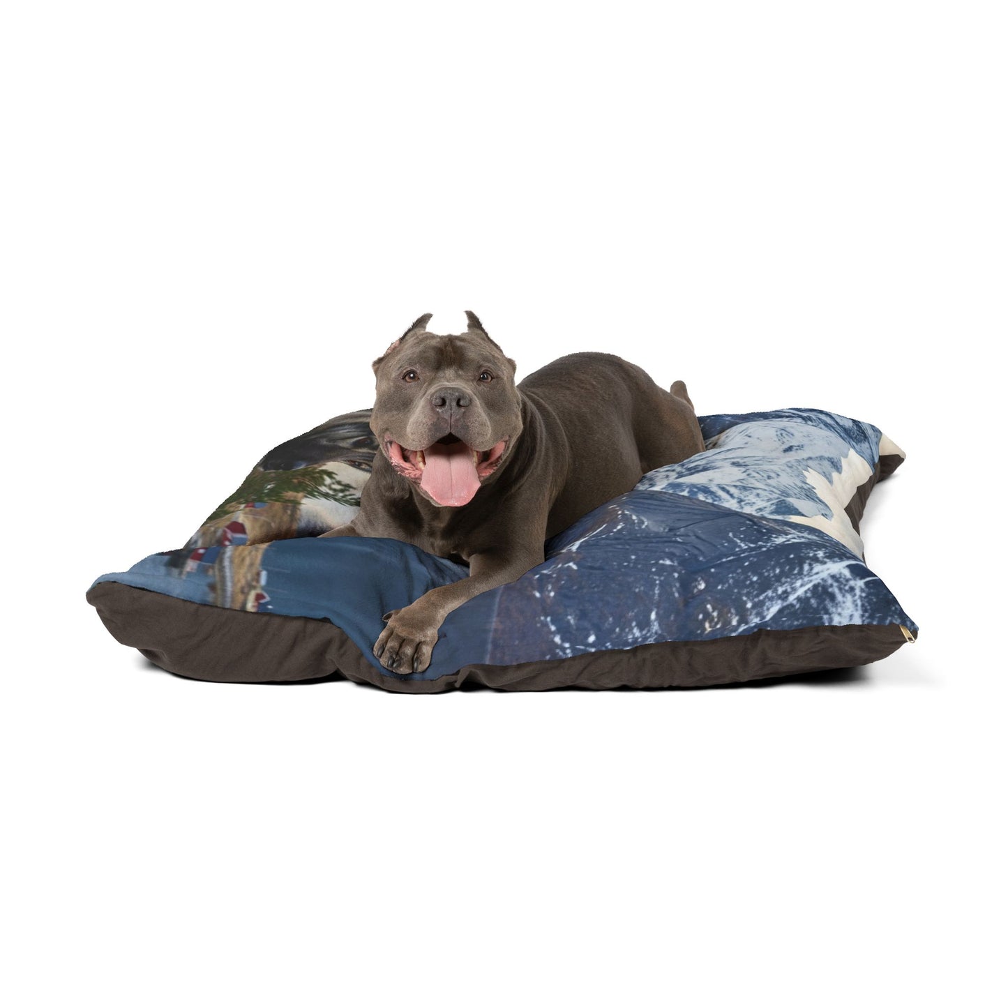 Norwegian Elkhound Pet Bed