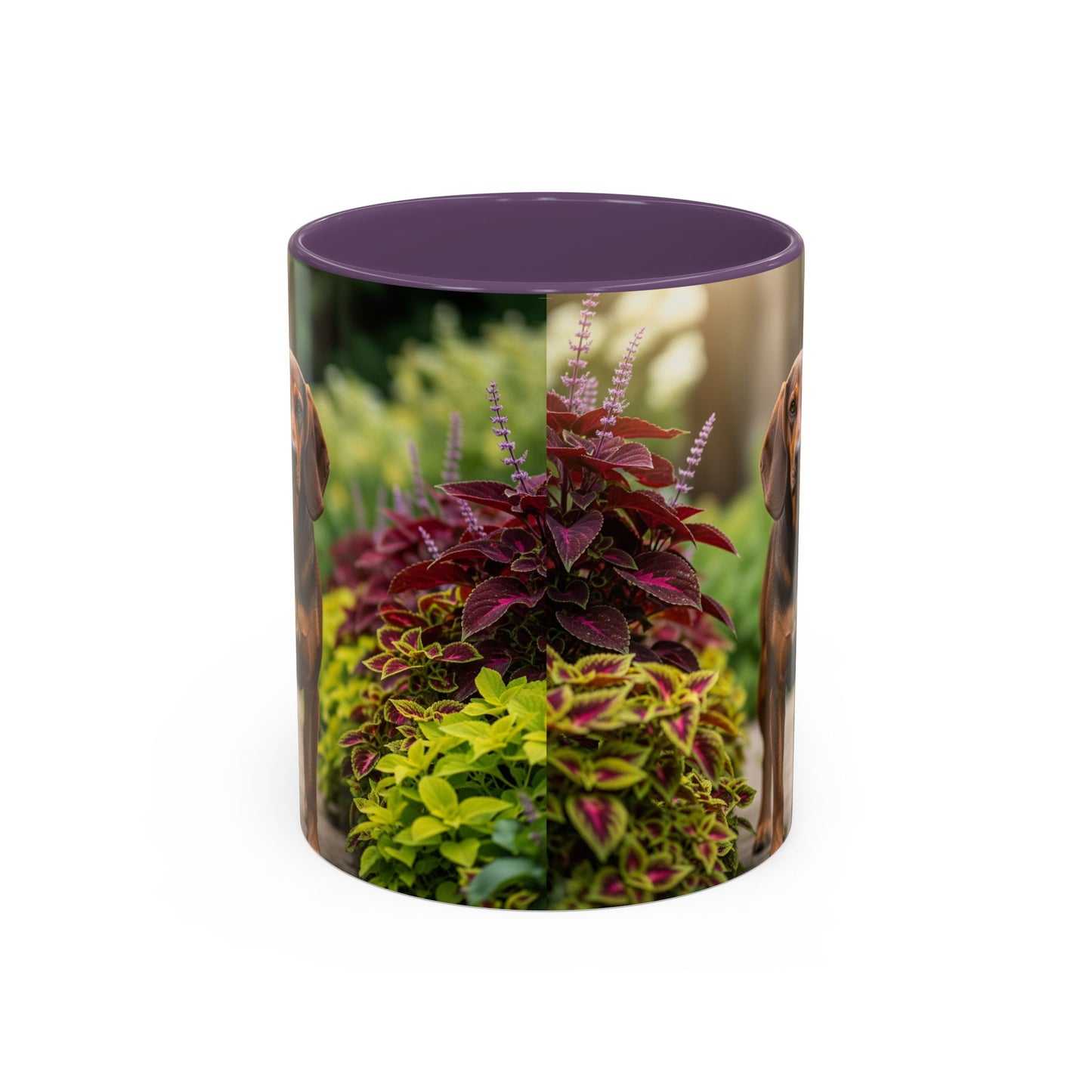 Hamiltonstovare Accent Coffee Mug - Perfect Gift for Dog Lovers