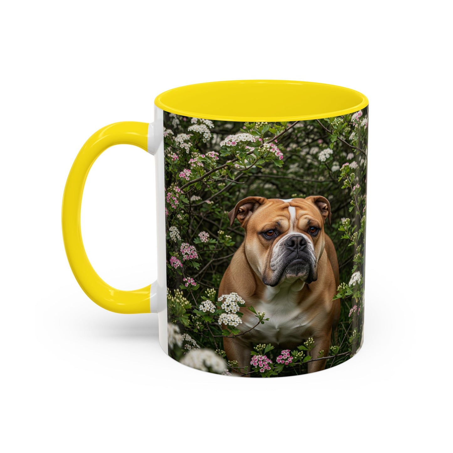 Mug à café Olde English Bulldogge Accent - Cadeau idéal pour les amoureux des chiens