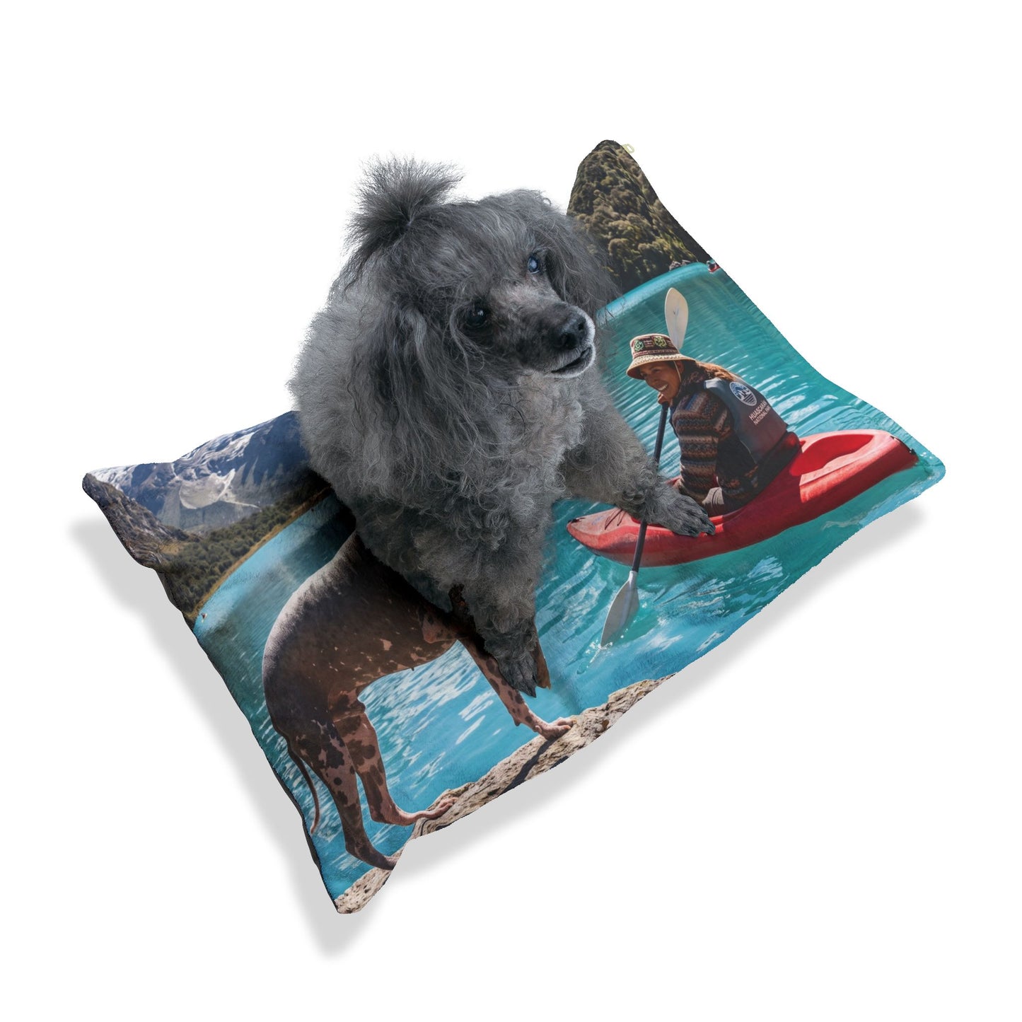 Peruvian Hairless Dog Pet Bed