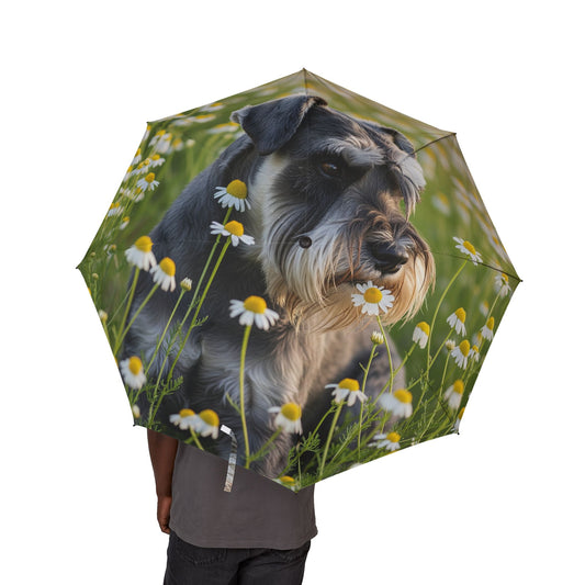 Miniature Schnauzer Semi-Automatic Foldable Umbrella