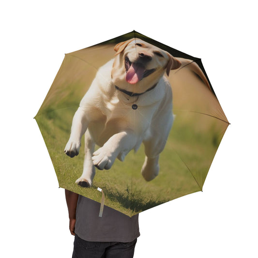 Labrador Retriever Semi-Automatic Foldable Umbrella