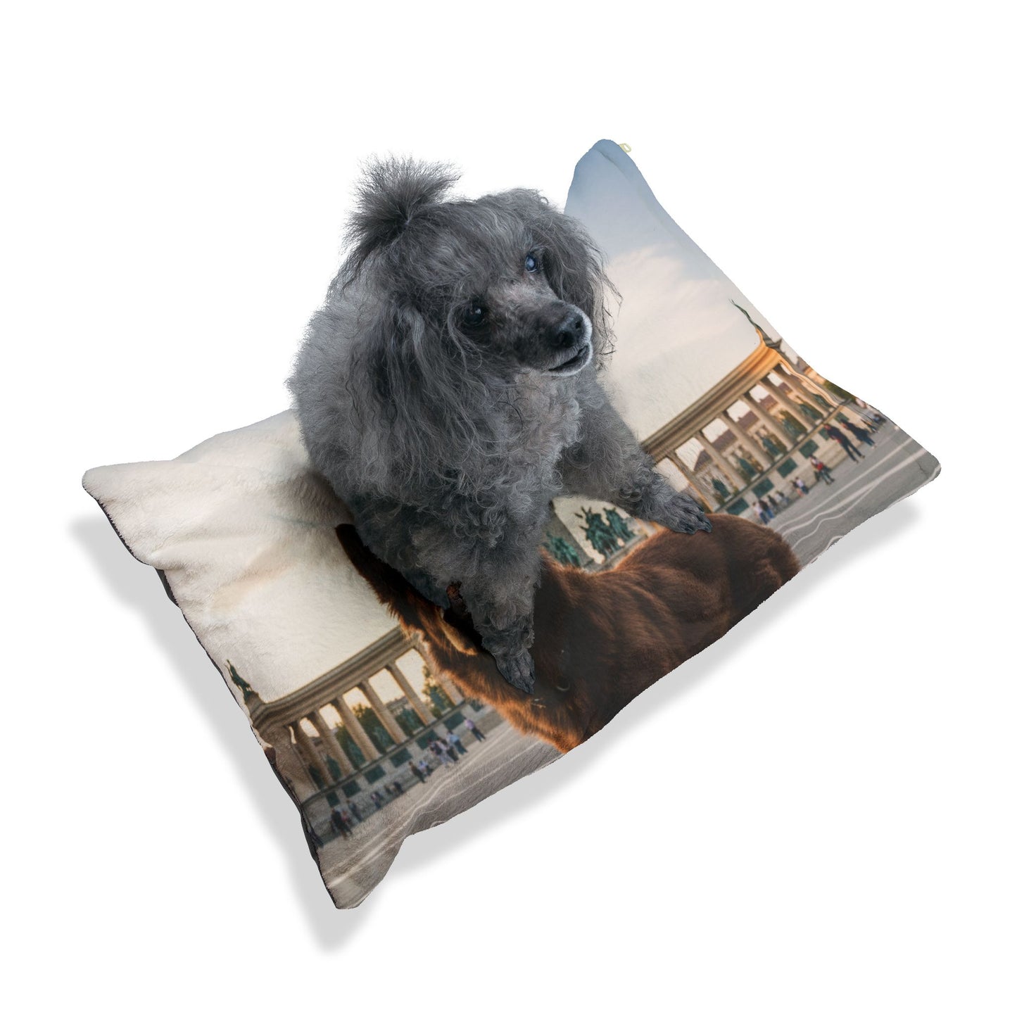 Mudi Pet Bed