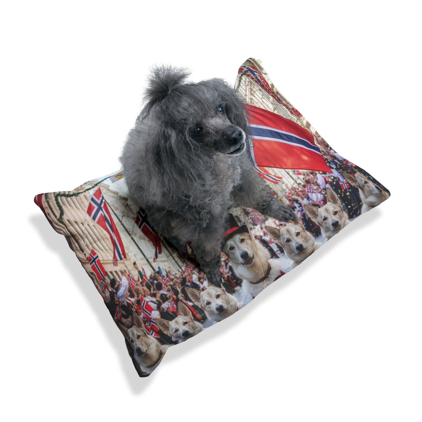 Norwegian Elkhound Pet Bed