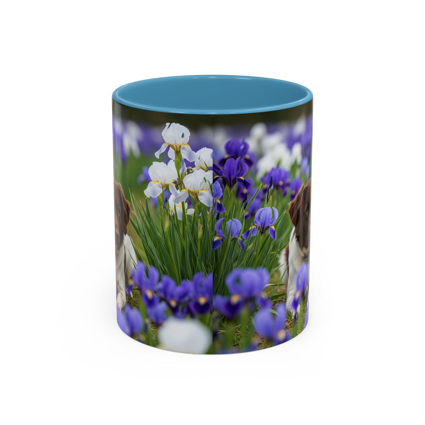 Mug Stabyhouns Accent - Cadeau idéal pour les amoureux des chiens
