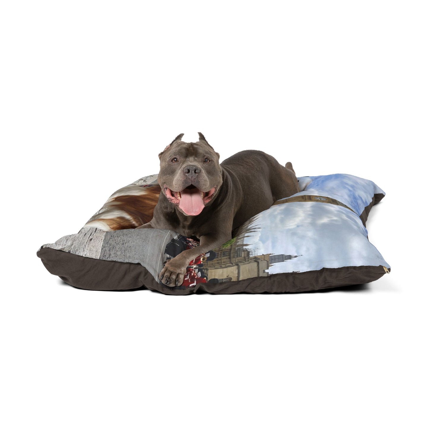 Cavalier King Charles Pet Bed