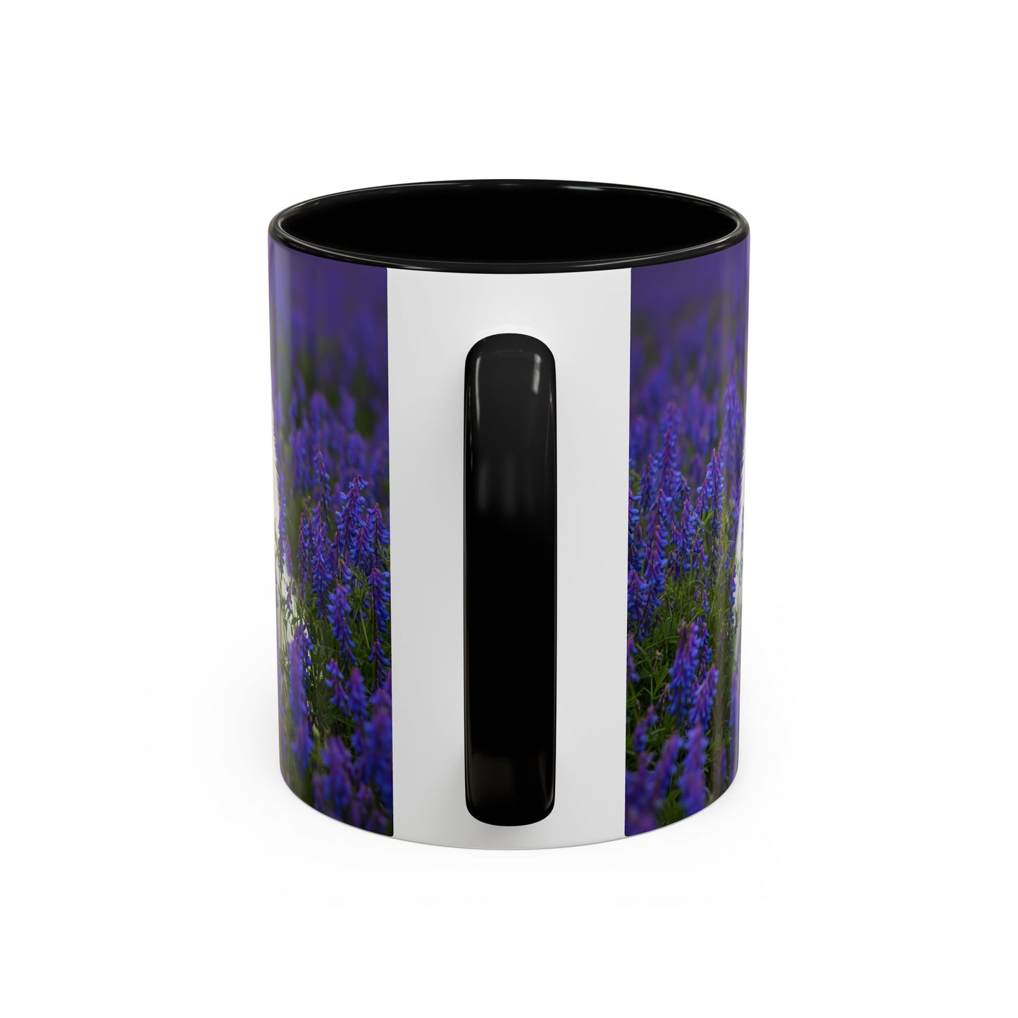 Mug à café avec motif Poméranien - Le cadeau idéal pour les amoureux des chiens
