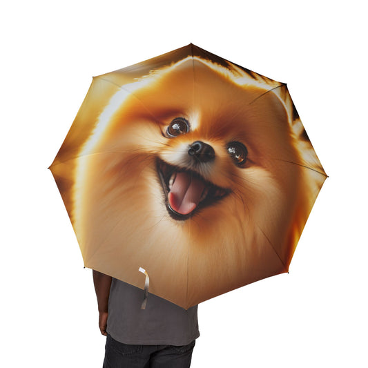 Pomeranian Semi-Automatic Foldable Umbrella