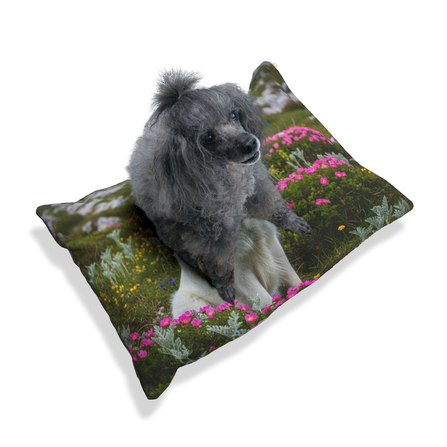 Slovensky Cuvac Pet Bed