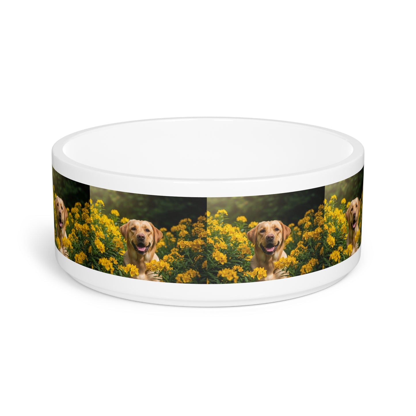 Labrador Retriever Pet Bowl