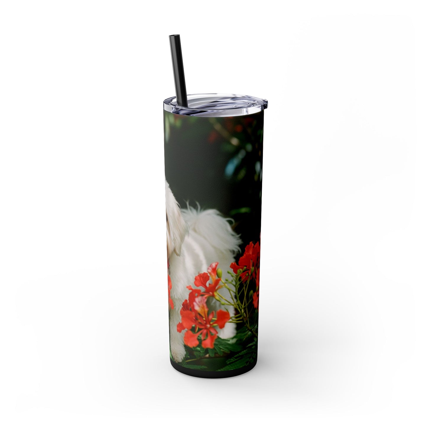 Gobelet Coton de Tuléar avec paille, 590 ml