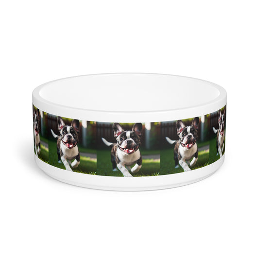 Frenchton Pet Bowl