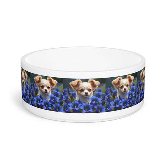 Toi Leo Pet Bowl