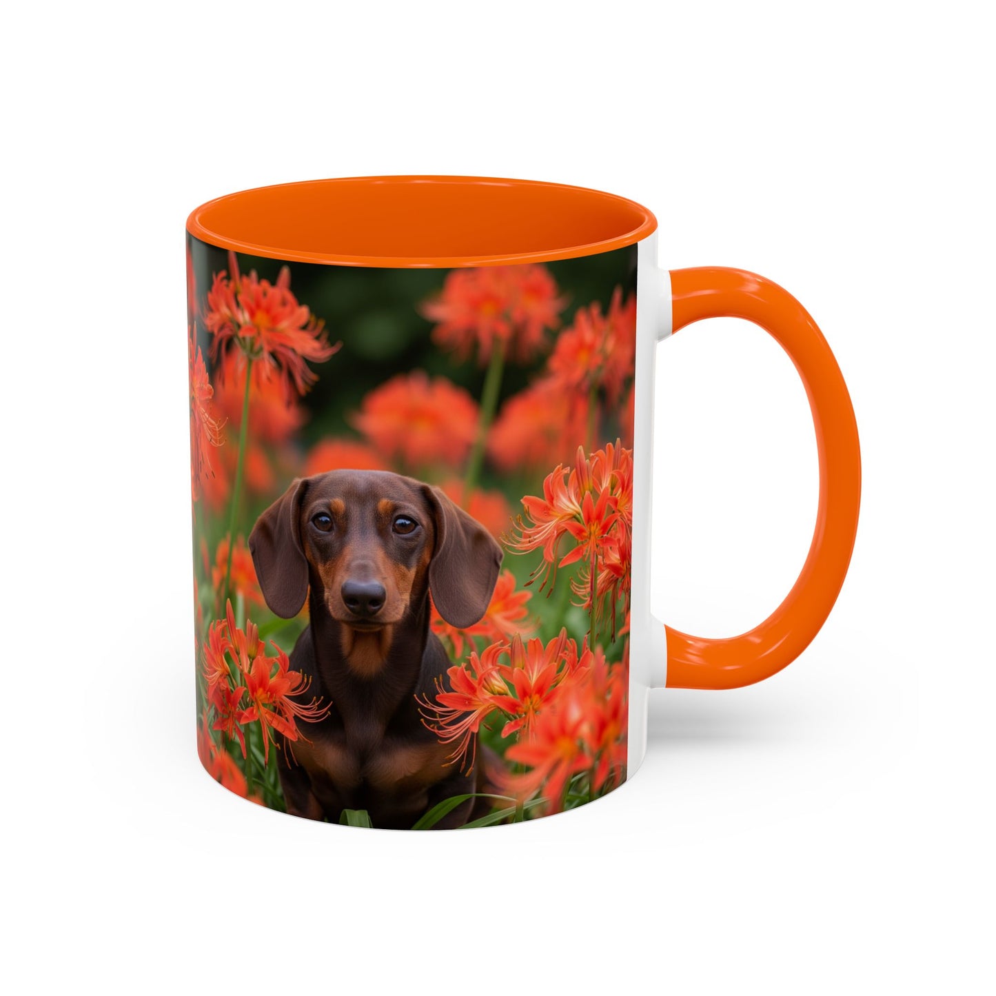 Dachshund Accent Coffee Mug - Perfect Gift for Dog Lovers
