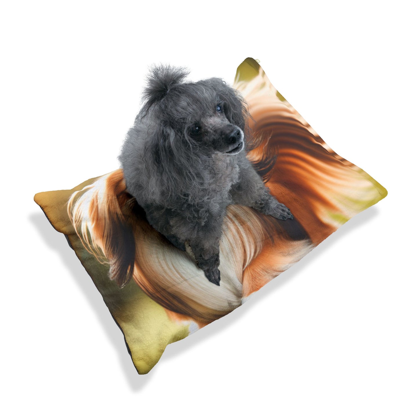 Tibetan Spaniel Pet Bed