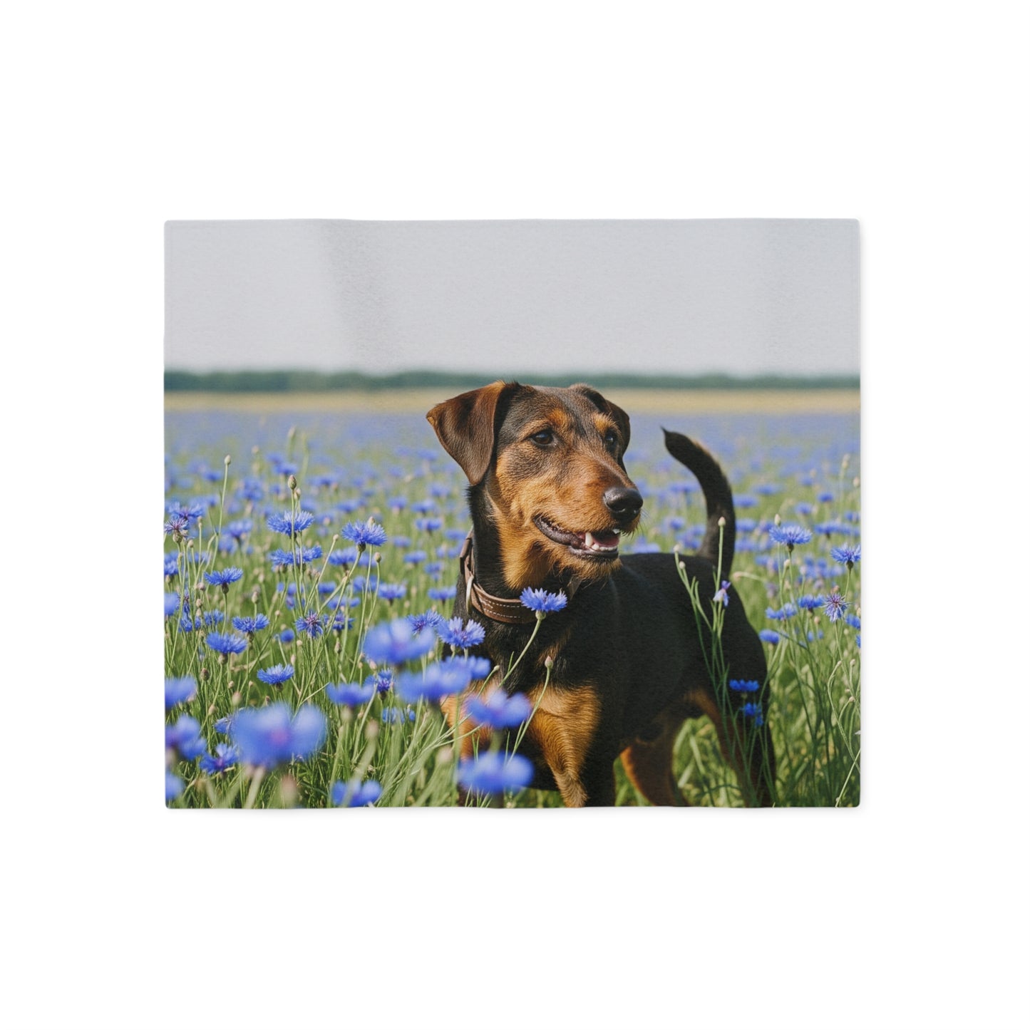 Deutscher Jagdterrier Sweatshirt Blanket