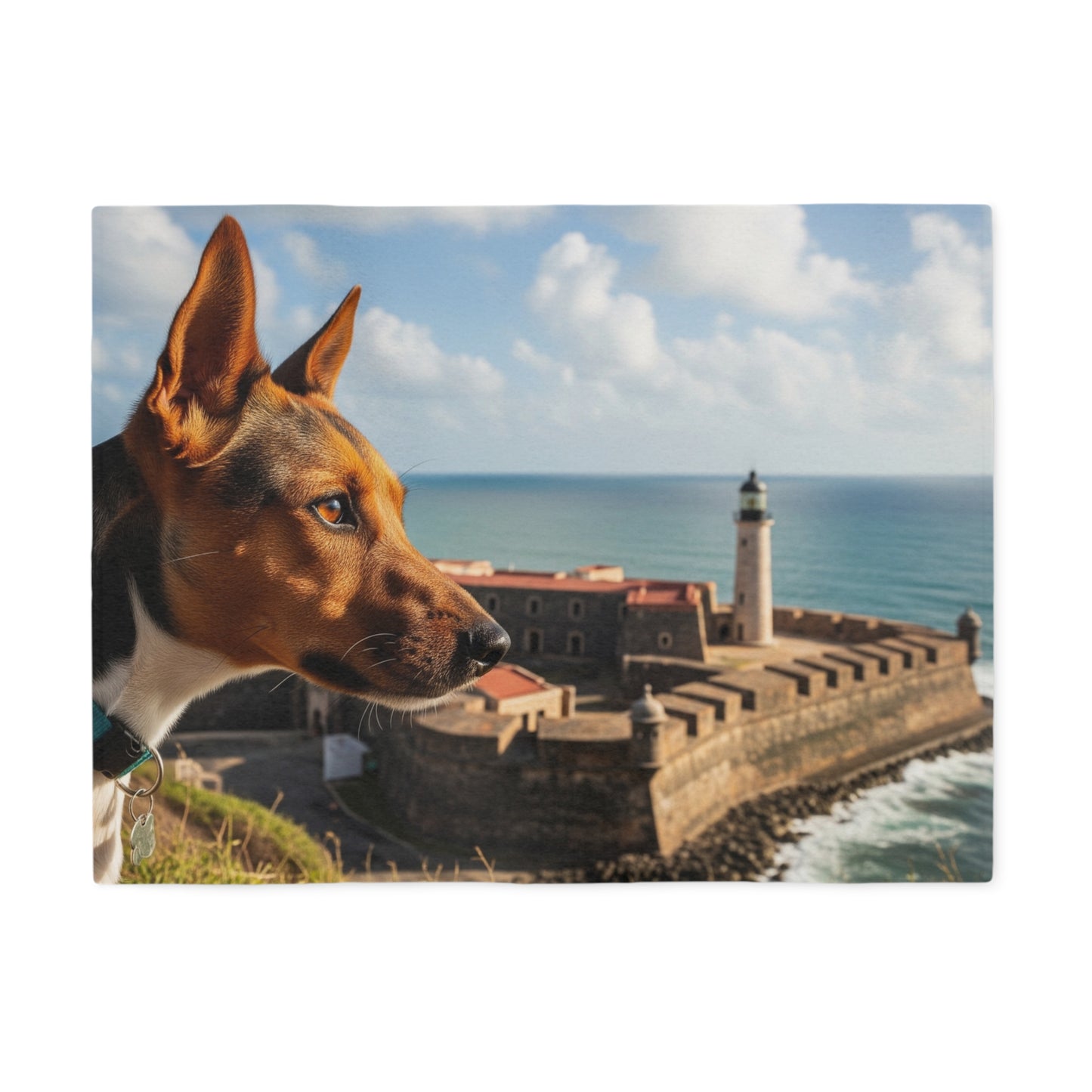 Teddy Roosevelt Terrier Blanket