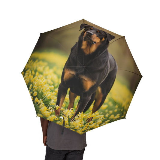 Beauceron Semi-Automatic Foldable Umbrella