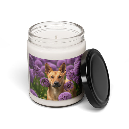Canaan Dog- Scented Soy Candle, 9oz