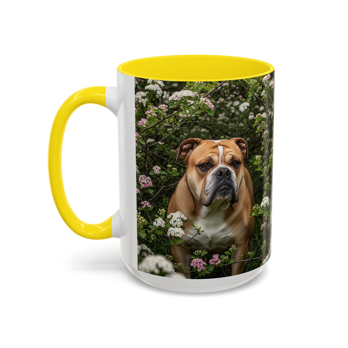Mug à café Olde English Bulldogge Accent - Cadeau idéal pour les amoureux des chiens