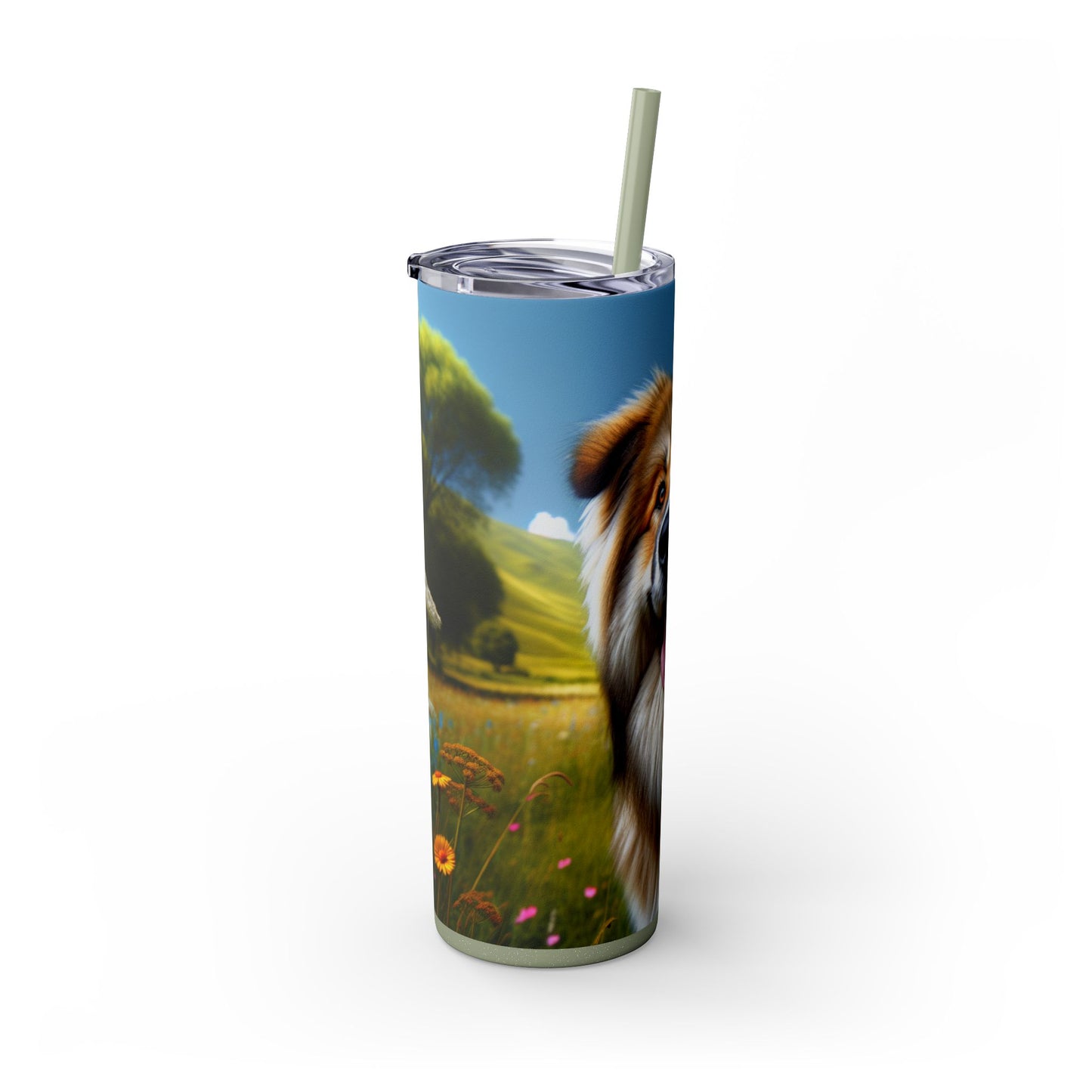 Bakharwal Tumbler with Straw, 20oz