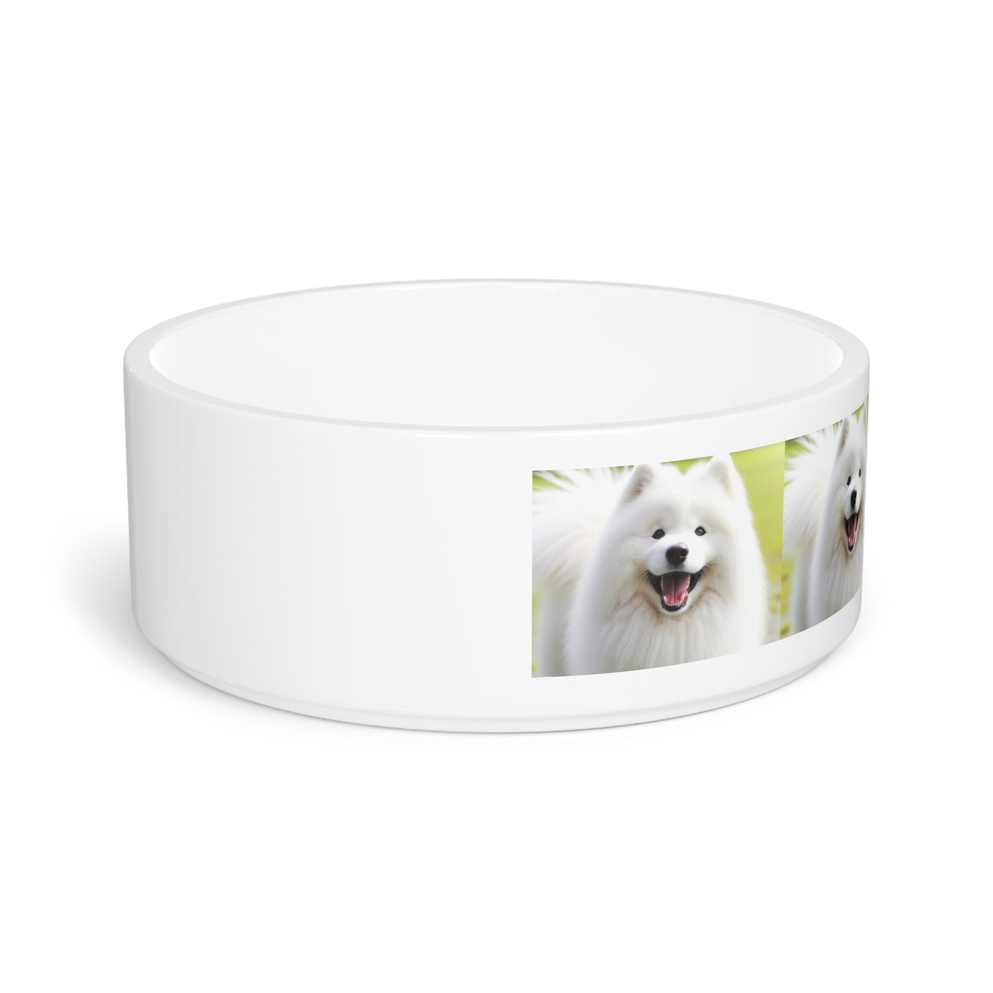 Samoyed Pet Bowl