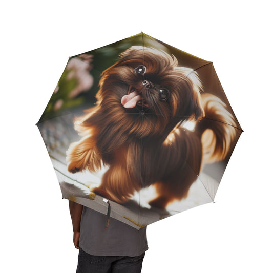 Silky Brussels Semi-Automatic Foldable Umbrella