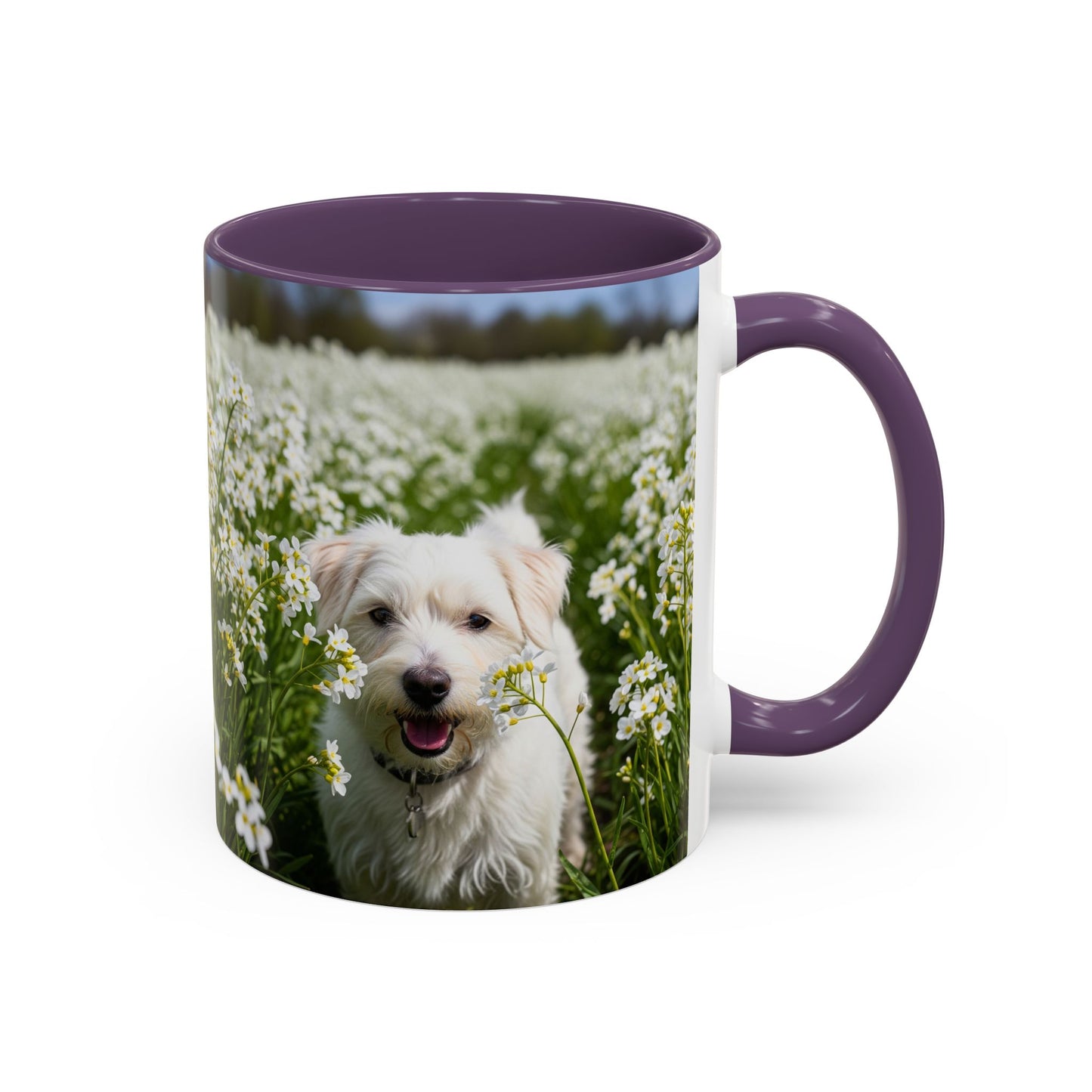 Taza de café con acento Kromfohrlander: el regalo perfecto para los amantes de los perros
