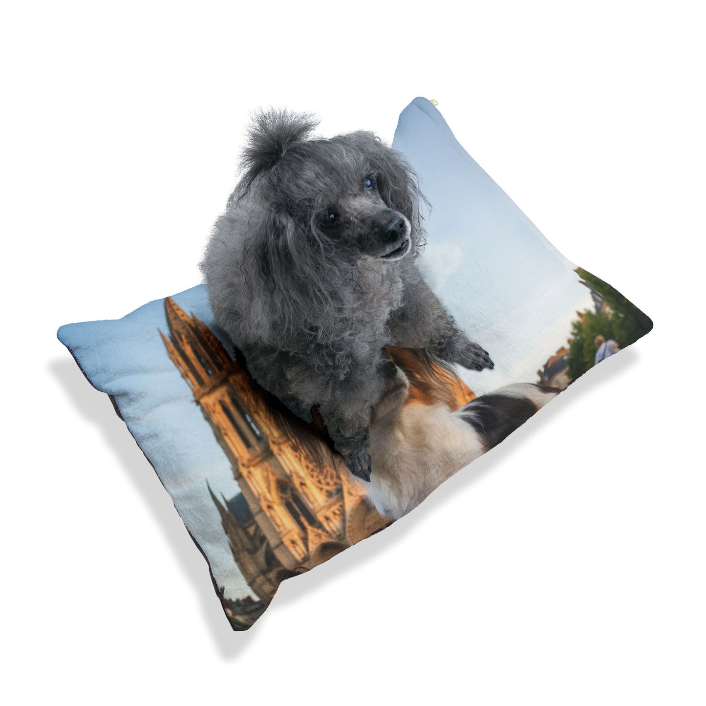 Phalène Pet Bed