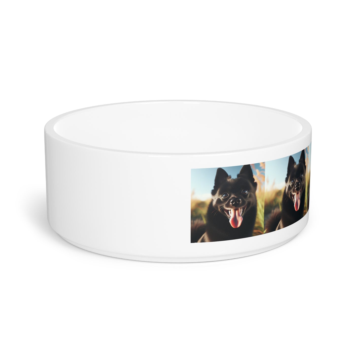 Schipperke Pet Bowl