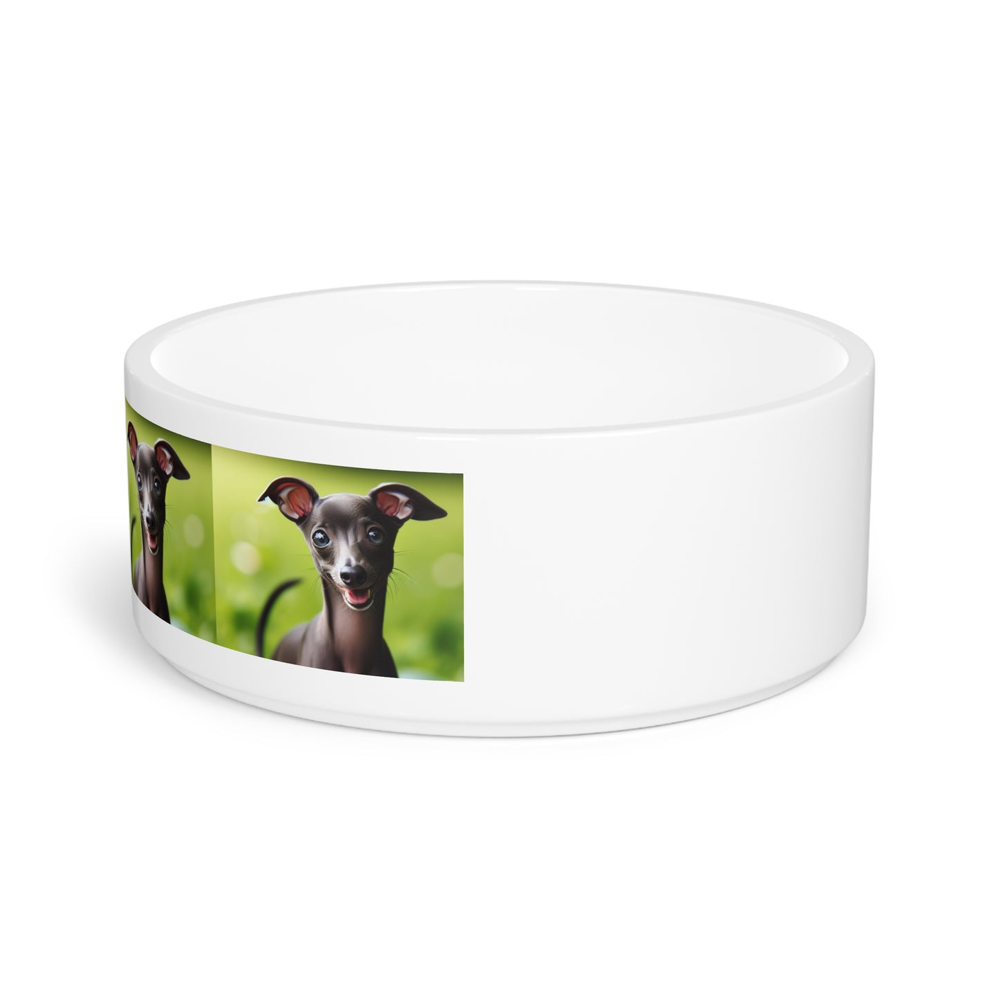 Italian Greyhound Pet Bowl